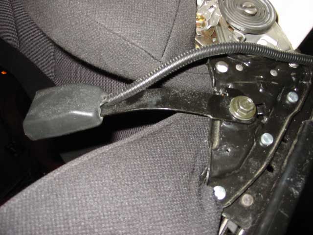 seatbelt.JPG